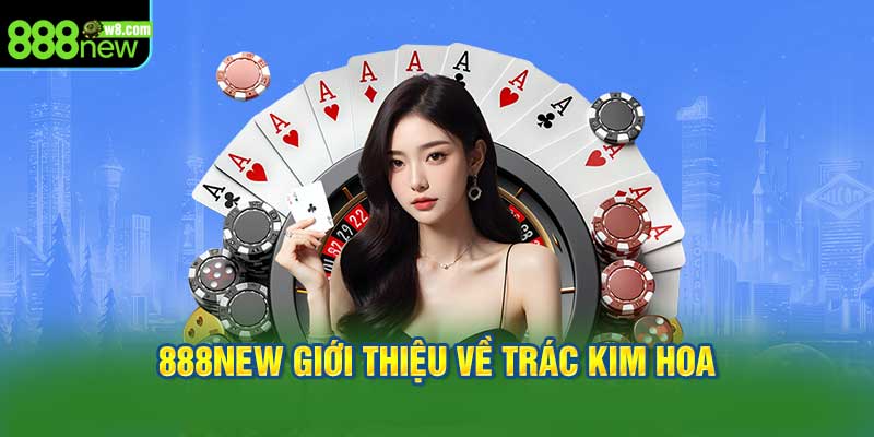 888new Giới Thiệu Về Trác Kim Hoa