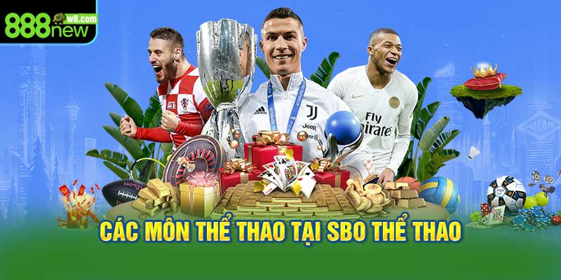 Các Môn Thể Thao Được Cung Cấp Tại SBO Thể Thao