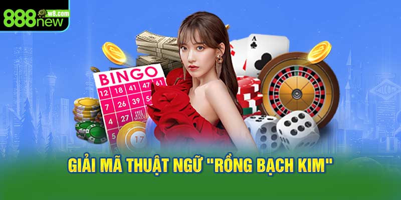Soi Cầu Rồng Bạch Kim: Khám Phá Ý Nghĩa Chi Tiết